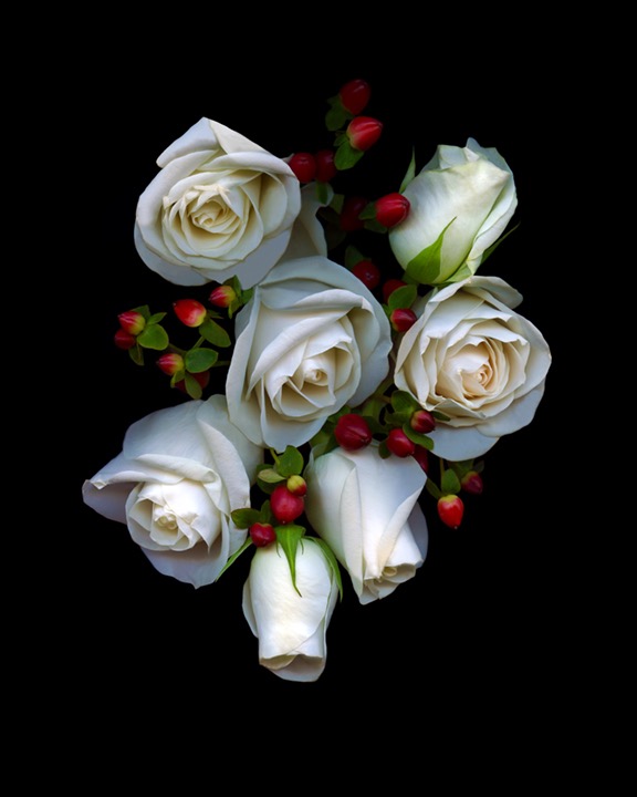 White Roses Red Berries copy