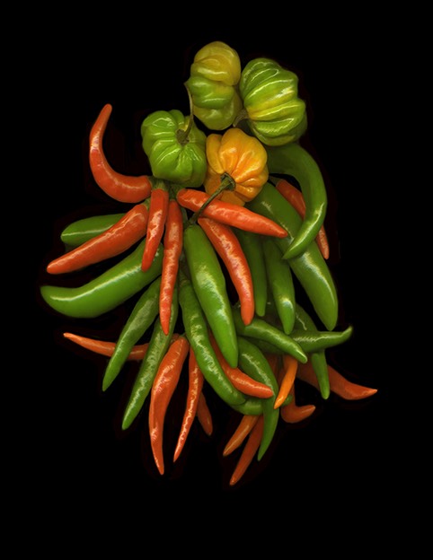 HOT PEPPERS #3