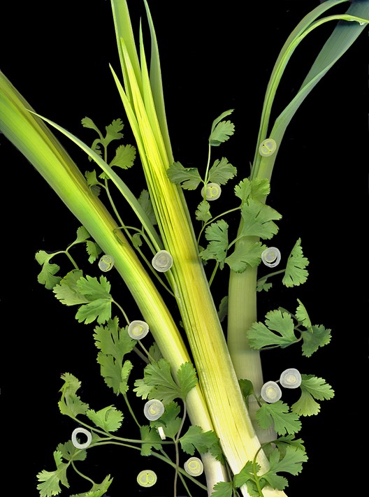 LEEKS, CILANTRO AND SCALLIONS